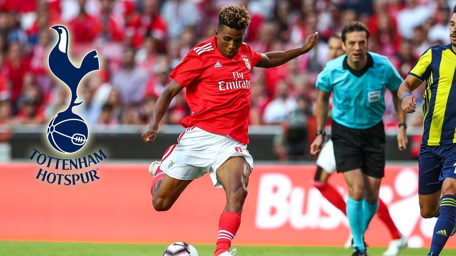 
                <strong>Gedson Fernandes (Tottenham Hotspur)</strong><br>
                Im Kampf um die internationalen Plätze in der Premier League hat sich Tottenham Hotspur mit Gedson Fernandes verstärkt. Der zentrale Mittelfeldspieler soll den verletzten Mittelfeld-Routinier Moussa Sissoko vertreten. Fernandes kommt von Benfica Lissabon und wechselt für eineinhalb Jahre auf die Insel. Der 21-Jährige gilt als eines der vielversprechendsten Talente Portugals, vergangene Saison schaffte er bei Benfica den Durchbruch. 
              