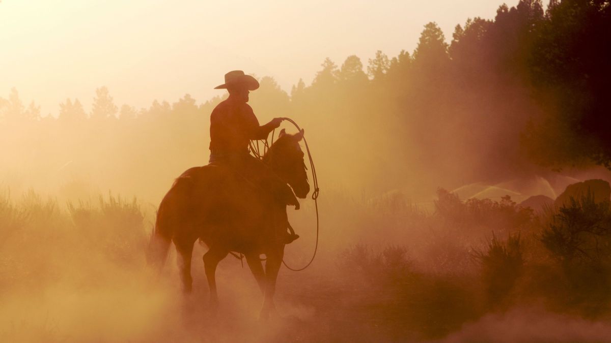 Silhouette of cowboy riding horse at sunset