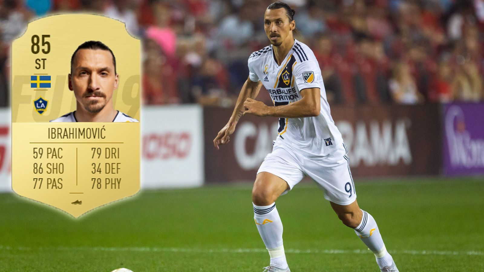 
                <strong>Zlatan Ibrahimovic</strong><br>
                Verein: Los Angeles GalaxyGesamtstärke: 85
              