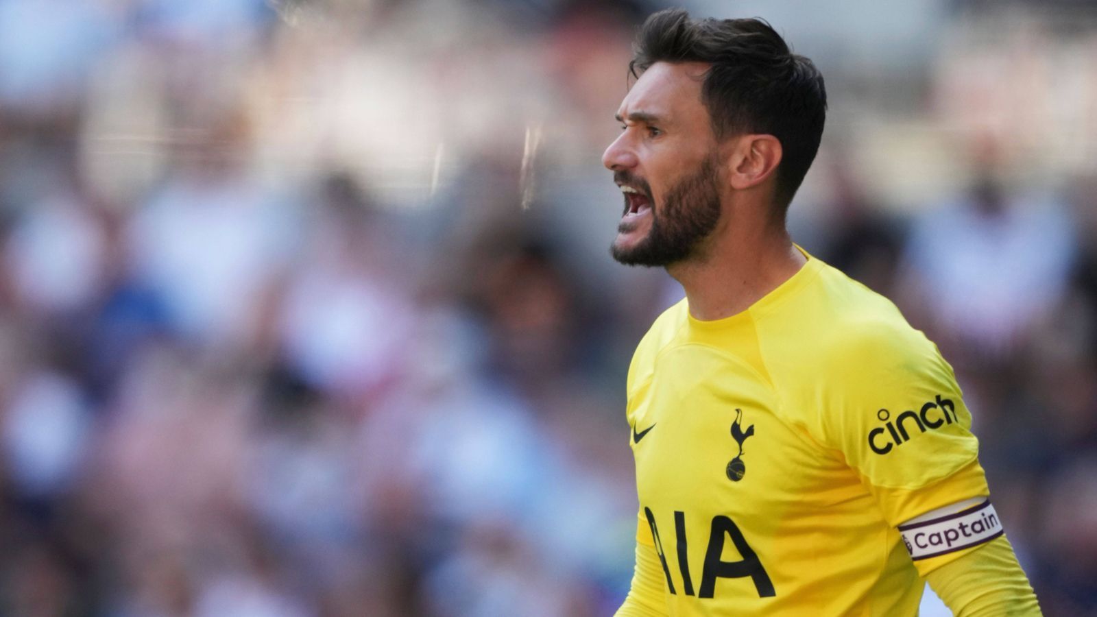 
                <strong>Tottenham Hotspur</strong><br>
                &#x2022; Kapitän: Hugo Lloris<br>&#x2022; Im Verein seit: August 2012<br>
              