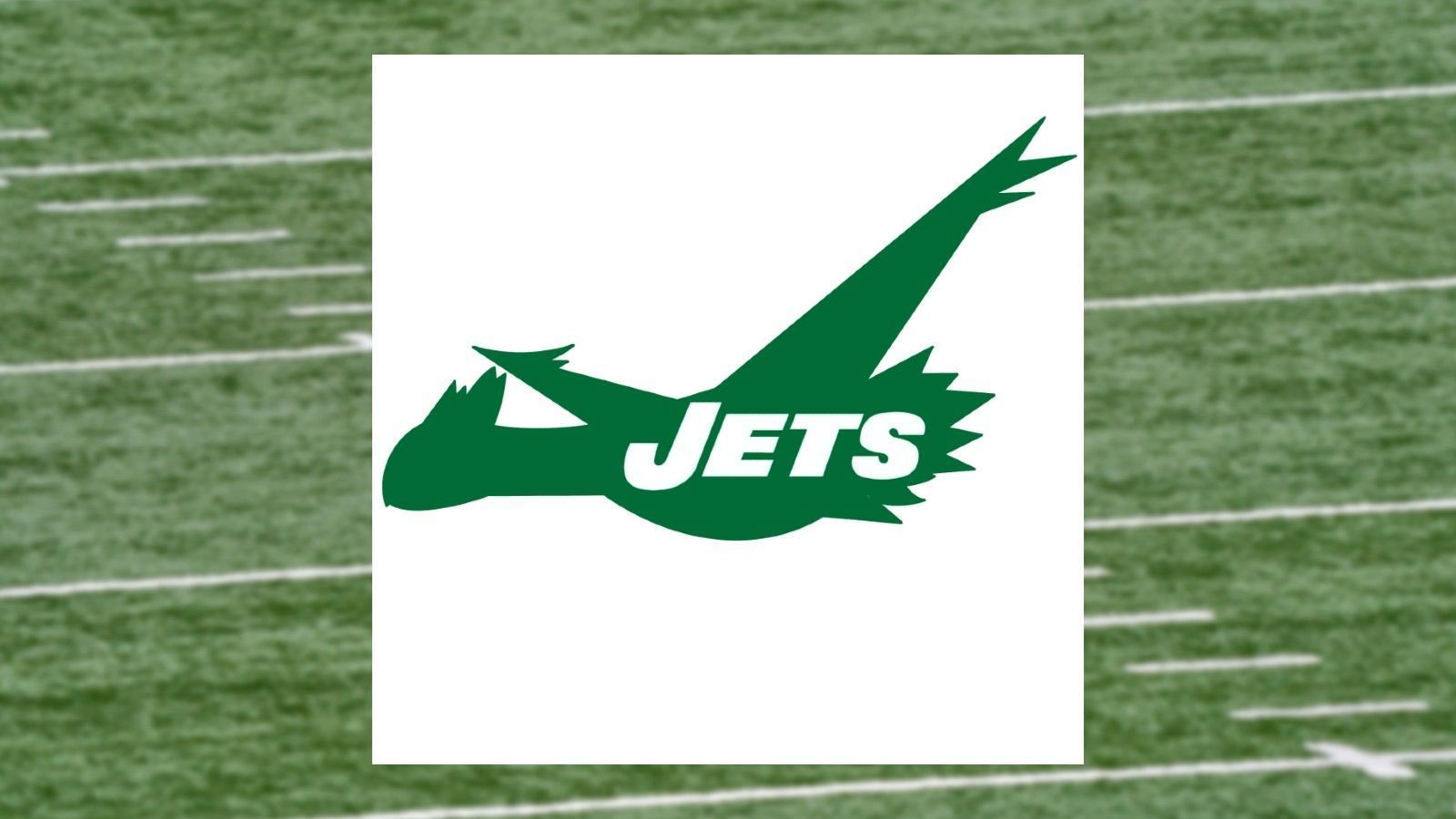 
                <strong>New York Jets</strong><br>
                Pokemon: Latios
              