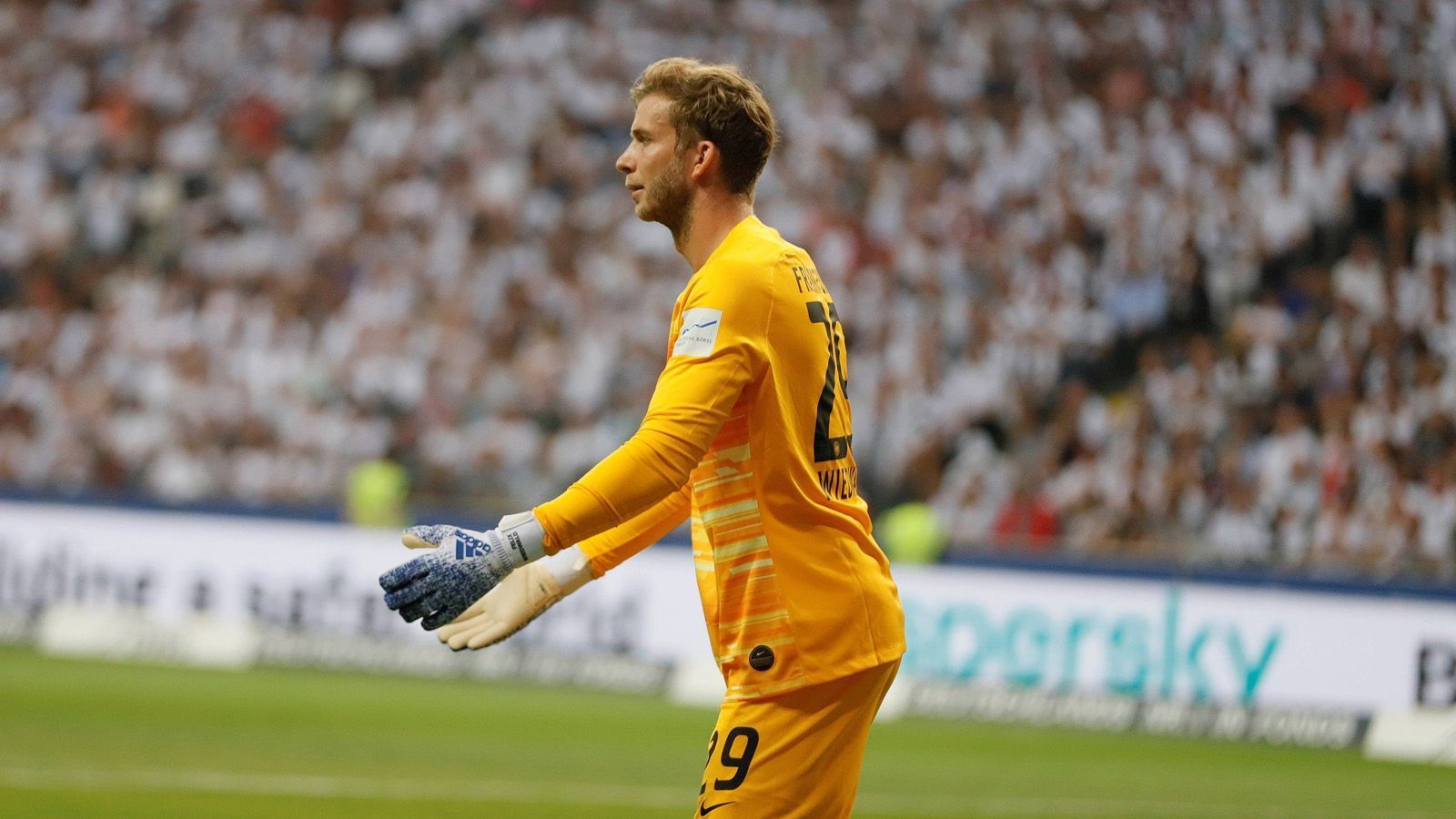 
                <strong>Felix Wiedwald </strong><br>
                Bis zum Gegentreffer zum zwischenzeitlichen 1:1 nahezu beschäftigungslos. Beim Schlenzer von Sinyavskiy ist der SGE-Schlussmann chancenlos. Im weiteren Verlauf hält der Torwart alles, was er halten muss. ran-Note: 3
              