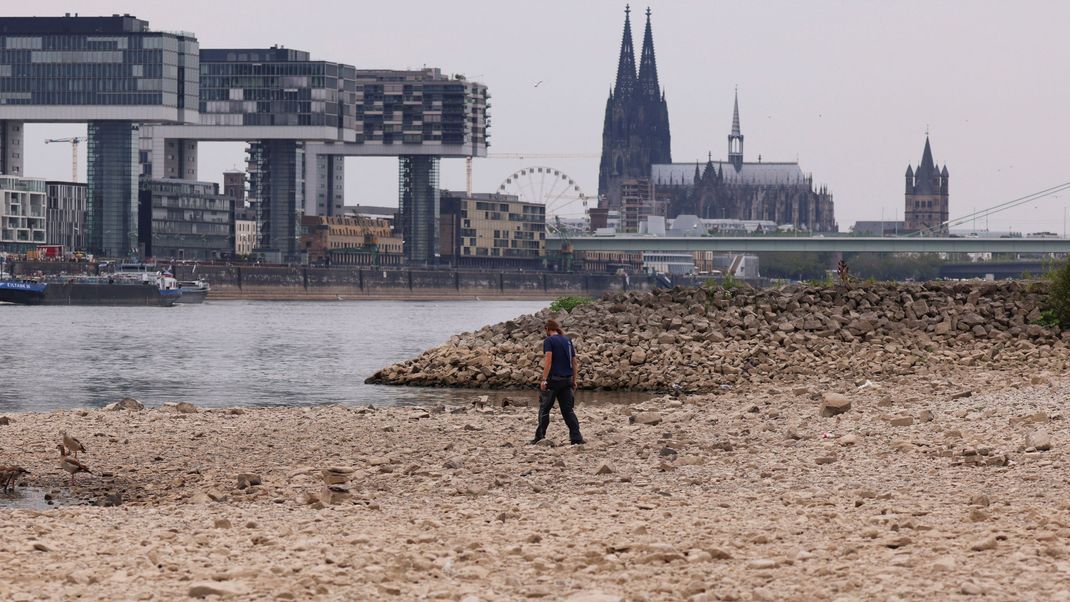 Der Rhein: In 30 Jahren wird es Deutschlands längstem Fluss, so wie wir ihn kennen, wohl nicht mehr geben.
