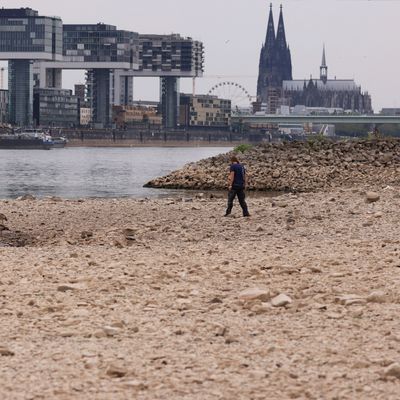 Dramatisch: Dem Rhein geht das Wasser aus.