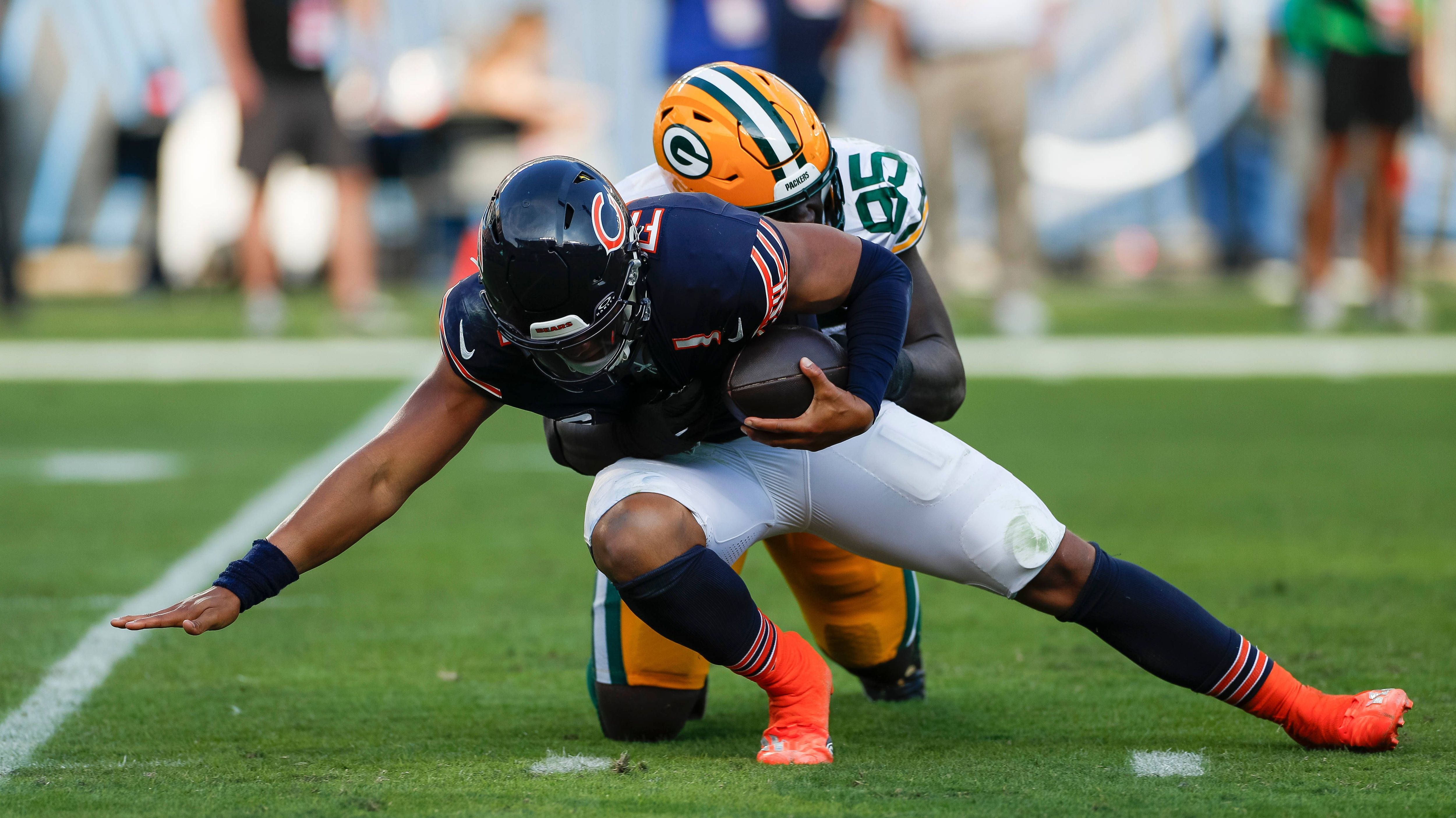 <strong>Chicago Bears: Natürlicher Rasen</strong><br>Im Soldier Field wird auf "Bermuda Grass" gespielt.