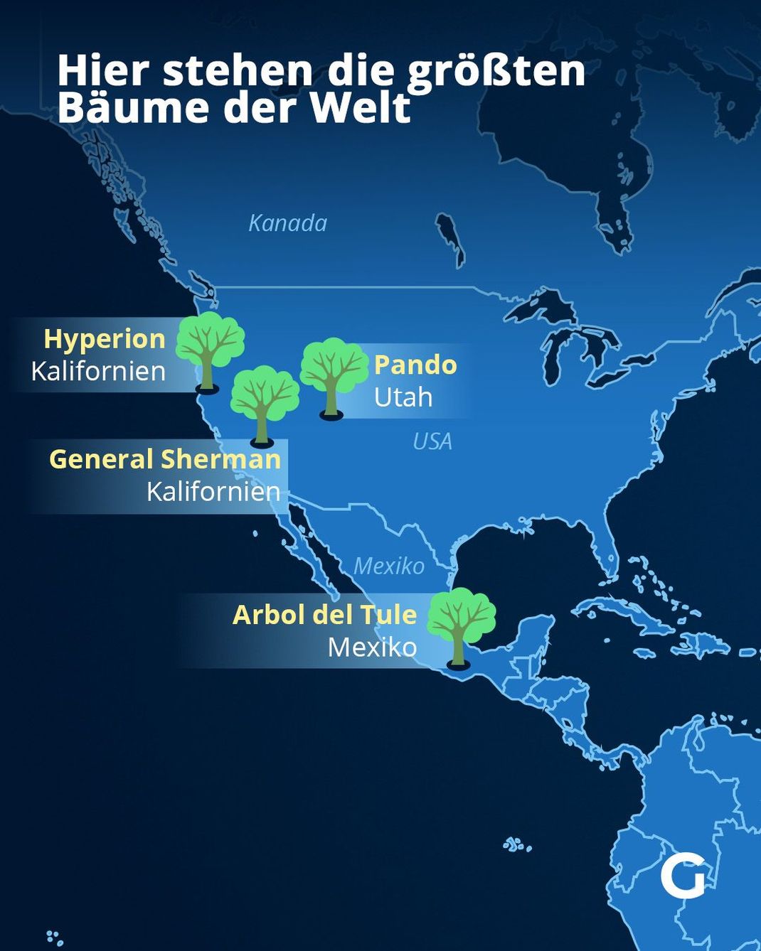 Lage der größten Bäume der Welt