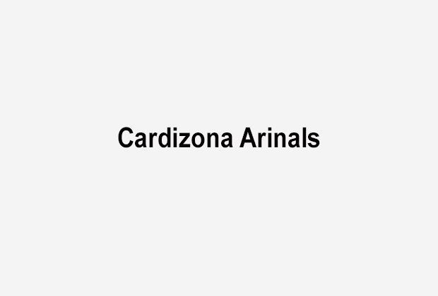 
                <strong>Cardizona Arinals</strong><br>
                
              