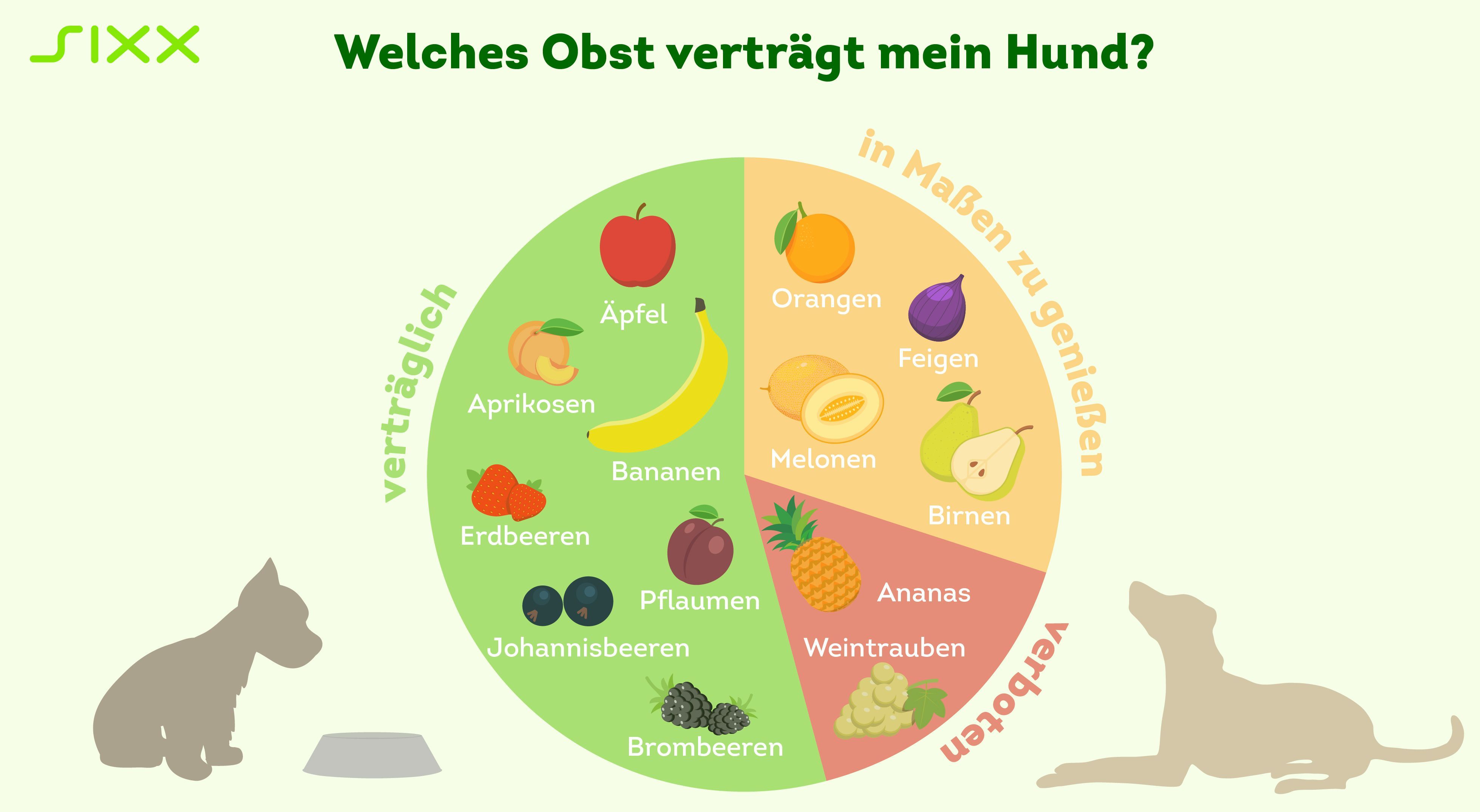 Hundeernährung Darf mein Hund Obst und Gemüse fressen?