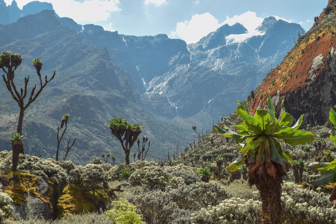 Das Ruwenzori-Gebirge ist mit bis zu 5.109 Metern das dritthöchste Bergmassiv Afrikas, neben dem Kilimandscharo und dem Mount Kenya. Die höchsten Gipfel sind von Eis und Schnee gekrönt. Die Touren gelten als anspruchsvoll, aber extrem lohnenswert. Alpinisten stehen Schutzhütten zur Verfügung, die Übernachtung muss vorab gebucht werden. Die beste Trekking-Zeit fällt in die trockenen Monate: Januar bis Februar und Juni bis Augu
