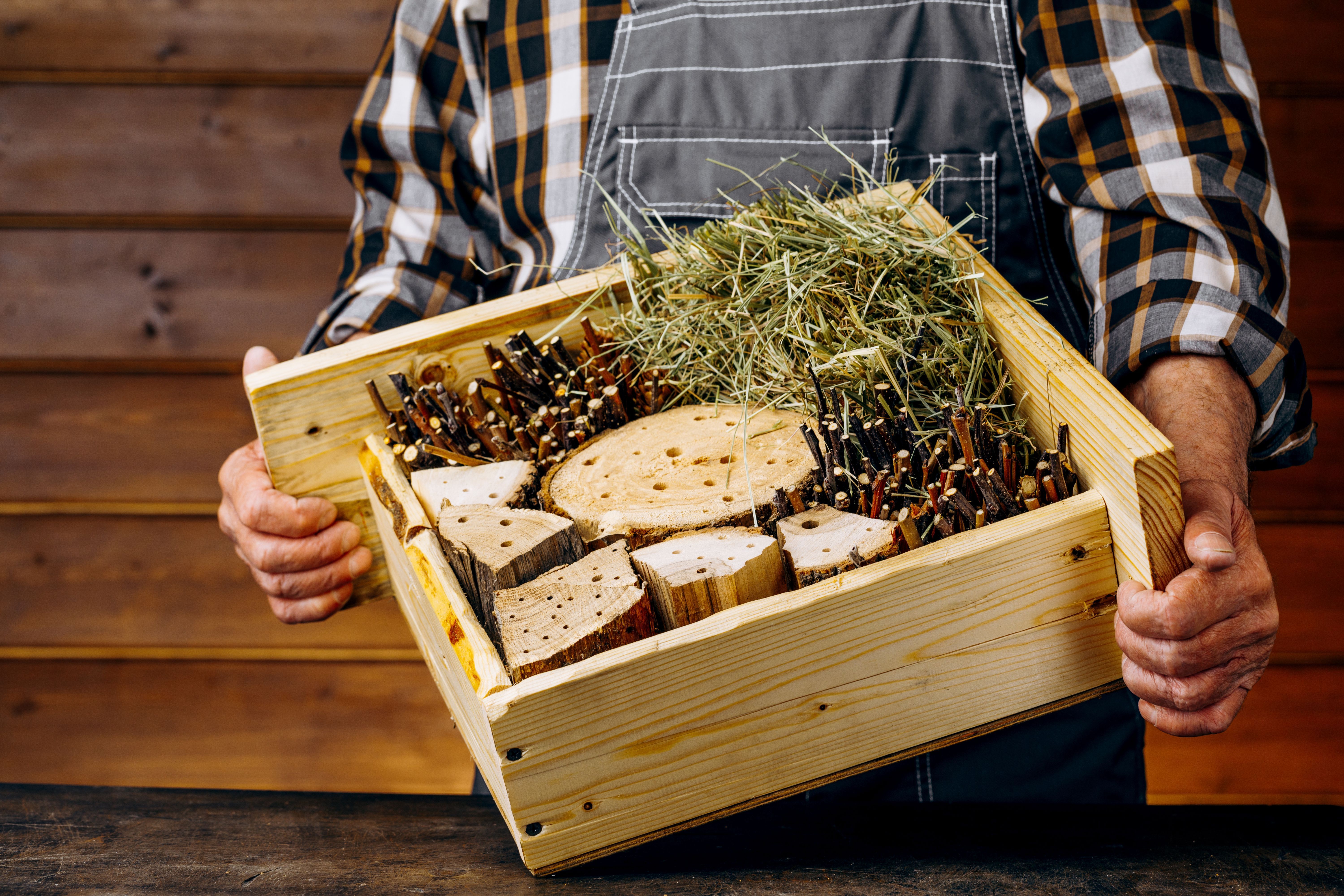 Moos, Stroh, Altholz: Für Ihr Insektenhotel müssen Sie nicht alles neu kaufen. Sie können sich bei dem Füllmaterial auch in der Natur bedienen.