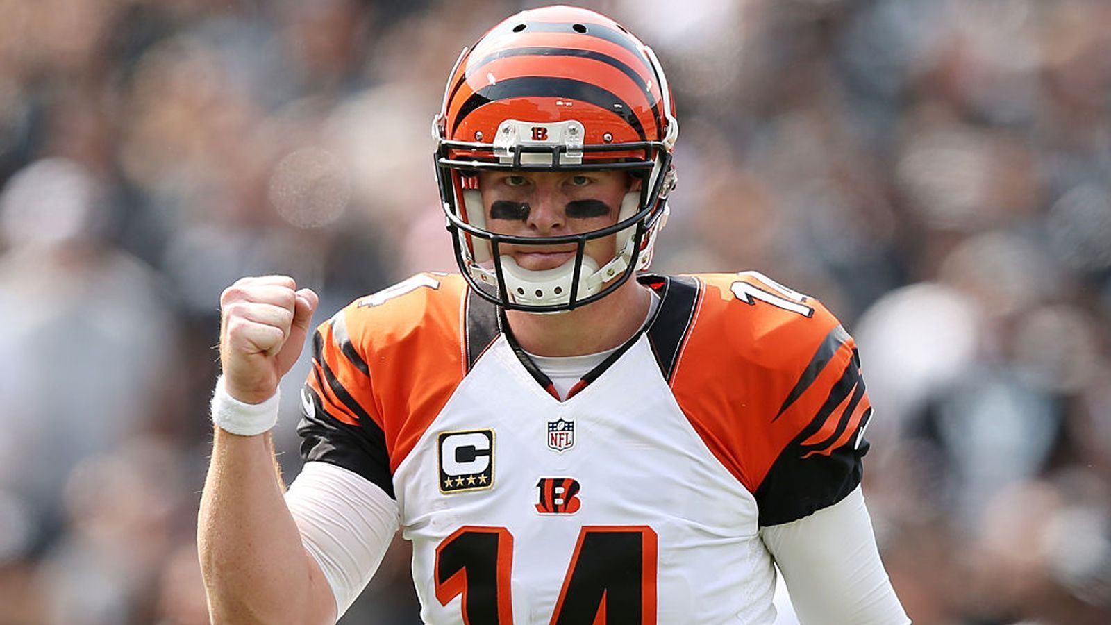 
                <strong>Cincinnati Bengals</strong><br>
                Andy Dalton (204 Touchdown-Pässe)   
              