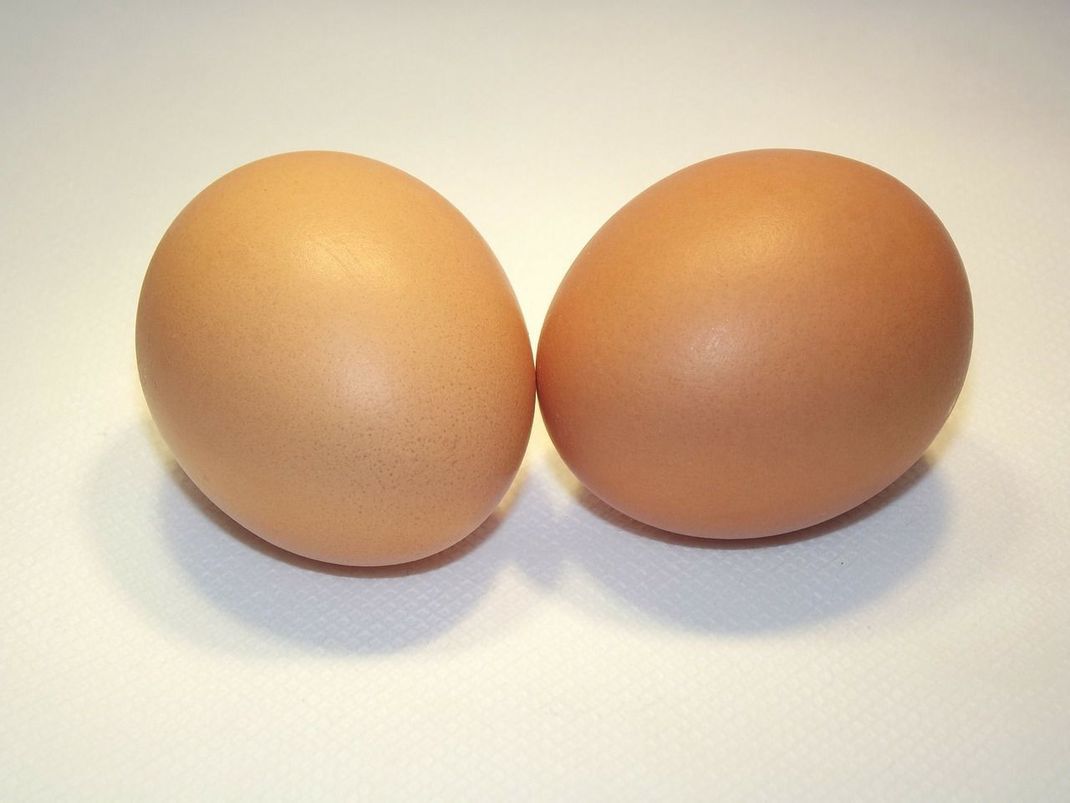 Aus diesen zwei Eiern entstehen im Nu der Kopf des Schafes und die Ohren.