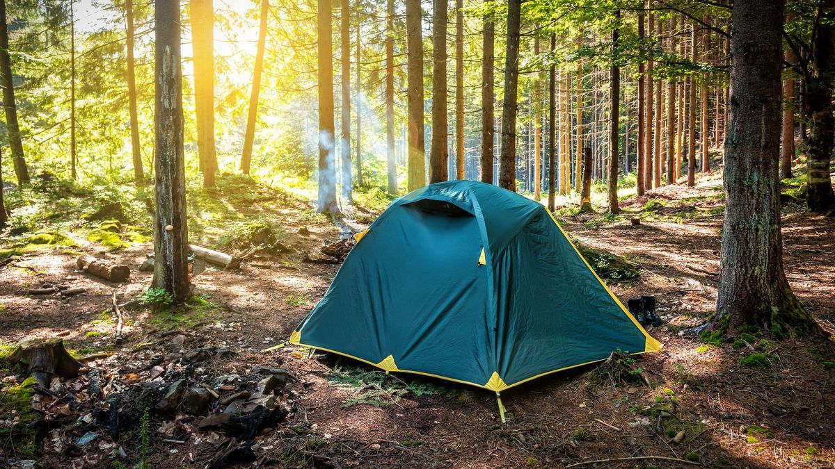 Im Wald, auf dem Bauernhof, auf einer wilden Wiese: Dieser neue Trend begeistert Camping-Fans