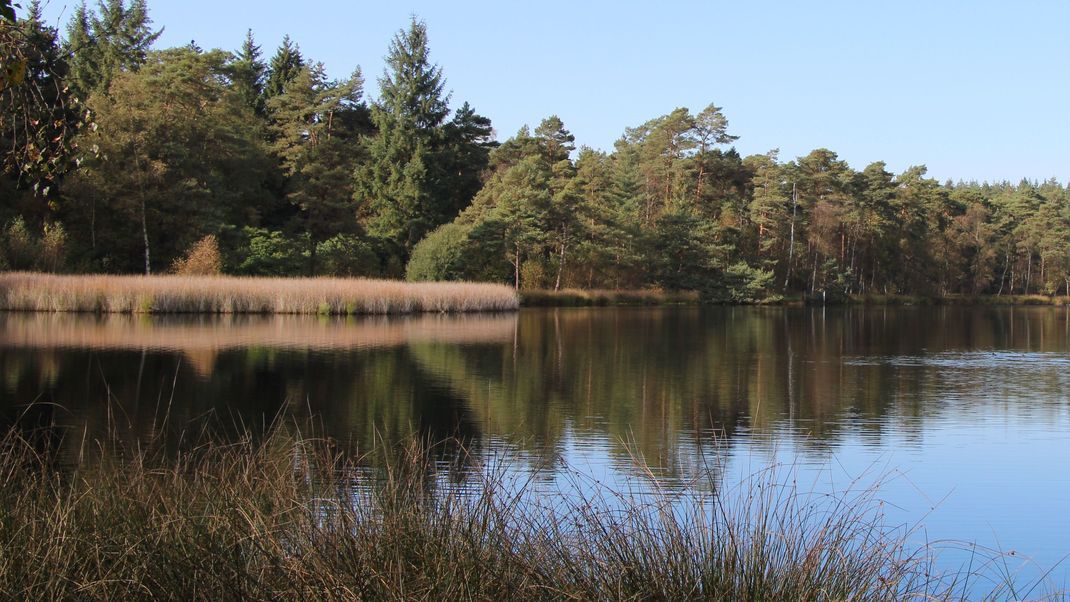 Suche nach einer Vermissten am kleinen Bullensee