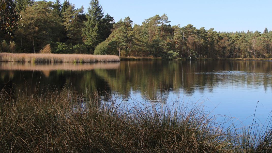 Mehr als hundert Helfer suchen nach einer vermissten dementen Frau - auch hier am kleinen Bullensee bei Rotenburg/Niedersachsen.