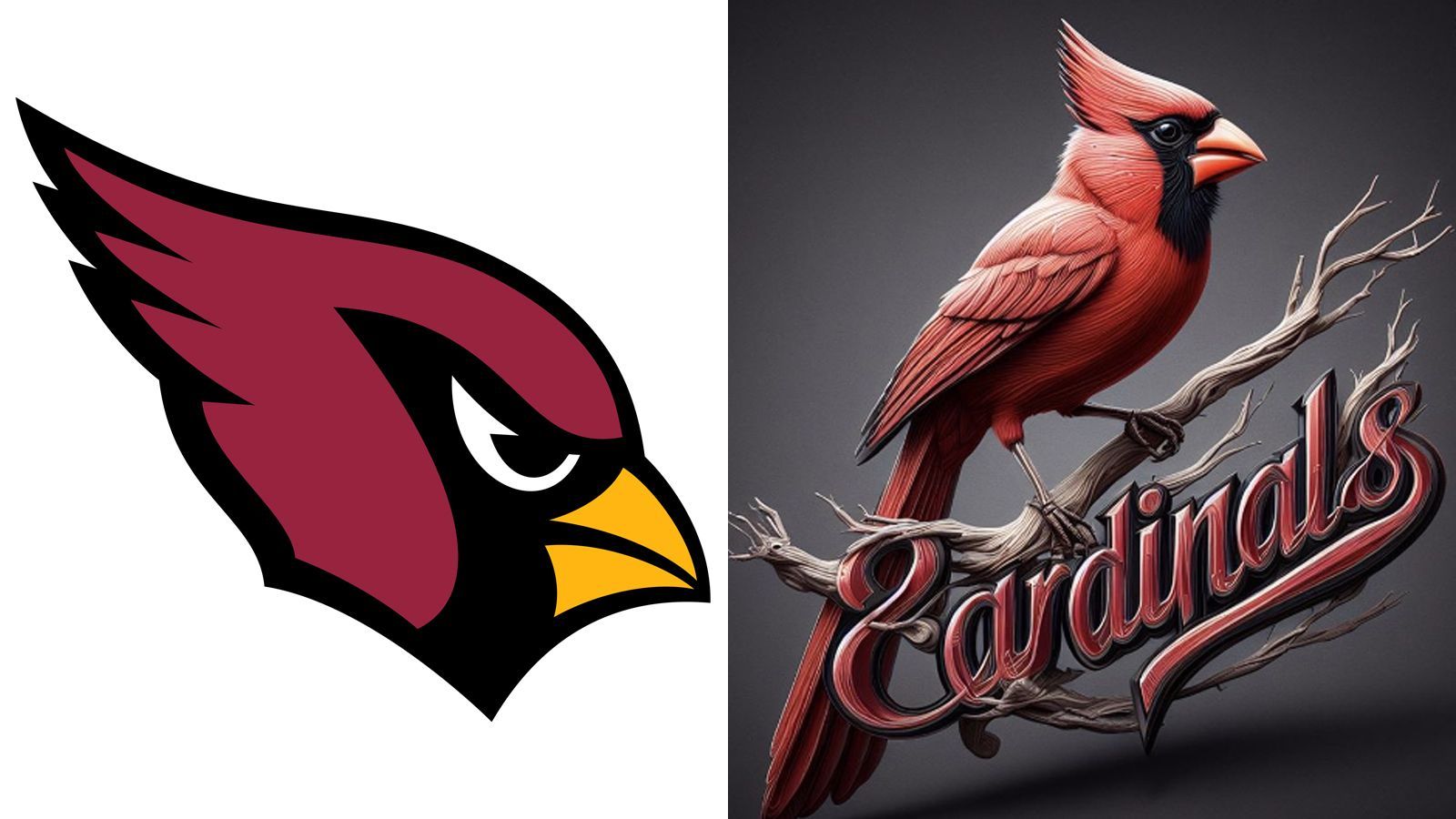 <strong>Arizona Cardinals</strong>