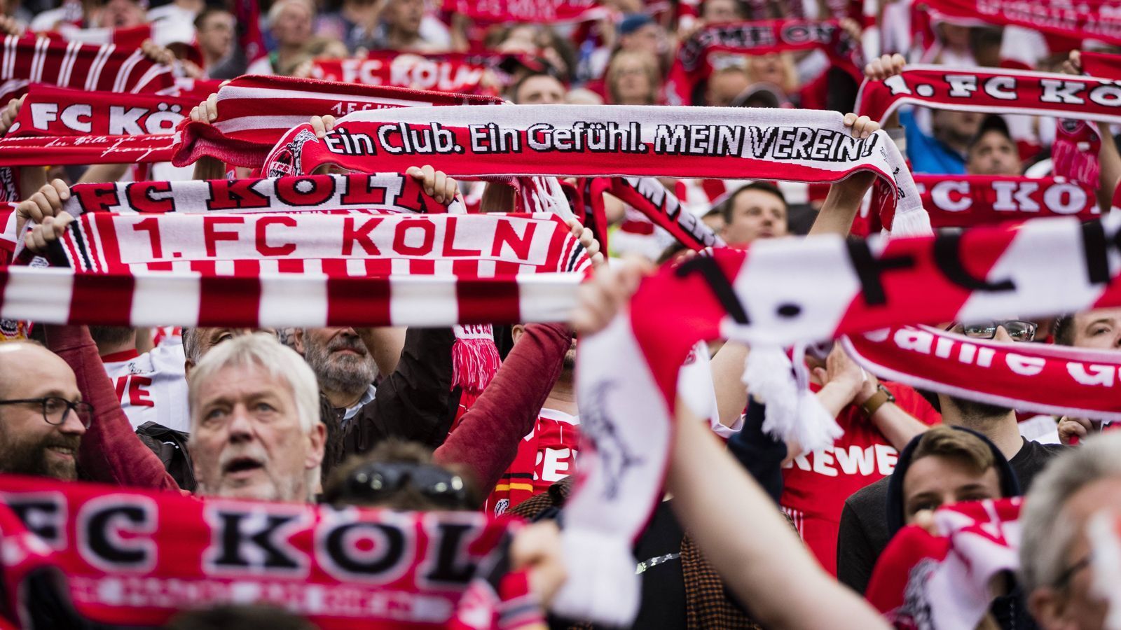 
                <strong>1. FC Köln</strong><br>
                Stehplatzpreis: 135 EuroMaximalpreis (Sitzplatz): 640 Euro
              