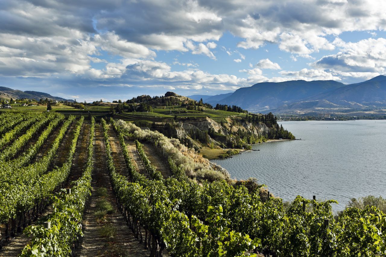 Okanagan Valley: Die Region im Süden ist nicht nur für ihre Seen und deren Sandstrände bekannt. In der idyllischen Tallandschaft wird auch Obst und Wein angebaut. Vor allem Riesling, Chardonnay und Merlot gedeihen prächtig. Weinproben und Weingutbesichtigungen sollte man sich nicht entgehen lassen.