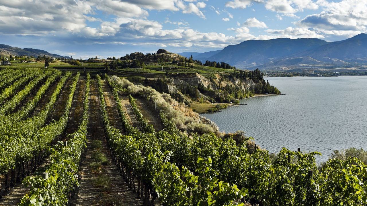 Okanagan Valley: Die Region im Süden ist nicht nur für ihre Seen und deren Sandstrände bekannt. In der idyllischen Tallandschaft wird auch Obst und Wein angebaut. Vor allem Riesling, Chardonnay und Merlot gedeihen prächtig. Weinproben und Weingutbesichtigungen sollte man sich nicht entgehen lassen.