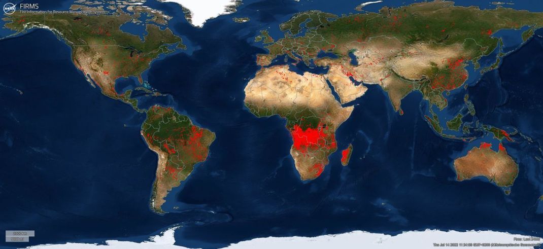 Satelliten-Aufnahmen der NASA zeigen, wo die Welt brennt. Dies Bereiche sind rot markiert. Die Karte wird täglich aktualisiert. Dieser Screenshot ist vom 14. Juli 2022.
