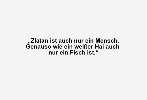 
                <strong>Zlatan Ibrahimovic zieht den Hai-Vergleich</strong><br>
                Zlatan Ibrahimovic antwortete auf die Frage eines Twitter-Users, ob er nur ein Mensch sei oder ob man ihn anbeten solle wie einen Gott: "Zlatan ist auch nur ein Mensch. Genauso wie ein weißer Hai auch nur ein Fisch ist."
              