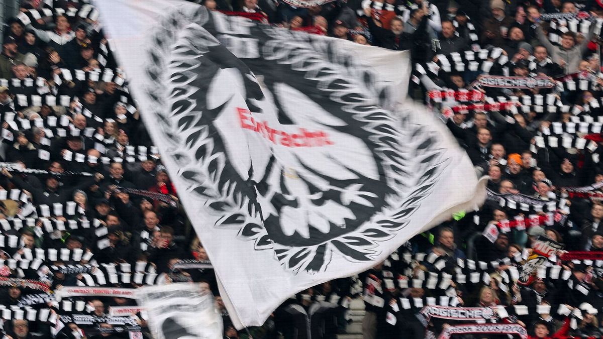 SGE_Fans