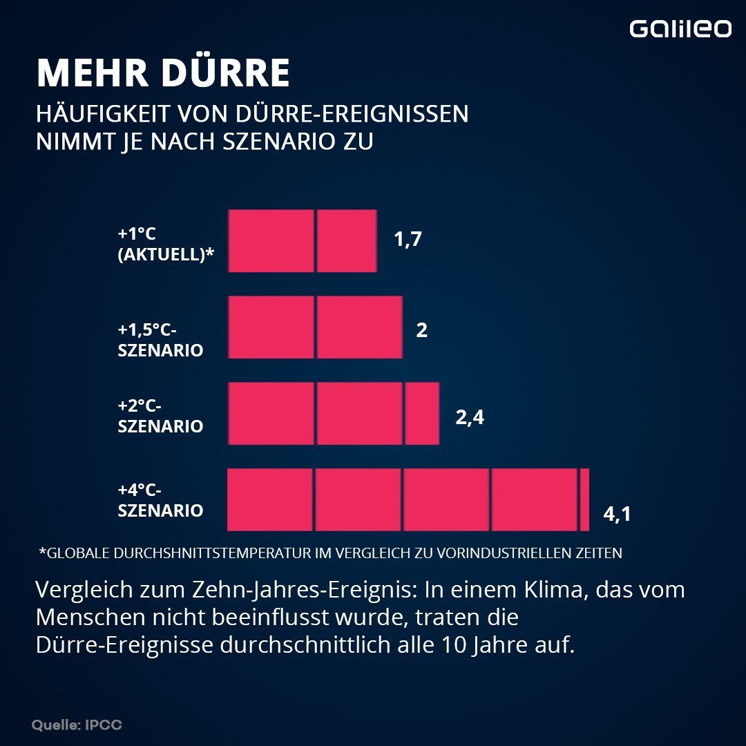 Bei einem Temperaturanstieg von 1,5 Grad käme es 2-mal so oft zu extremen Trocken-Perioden. 