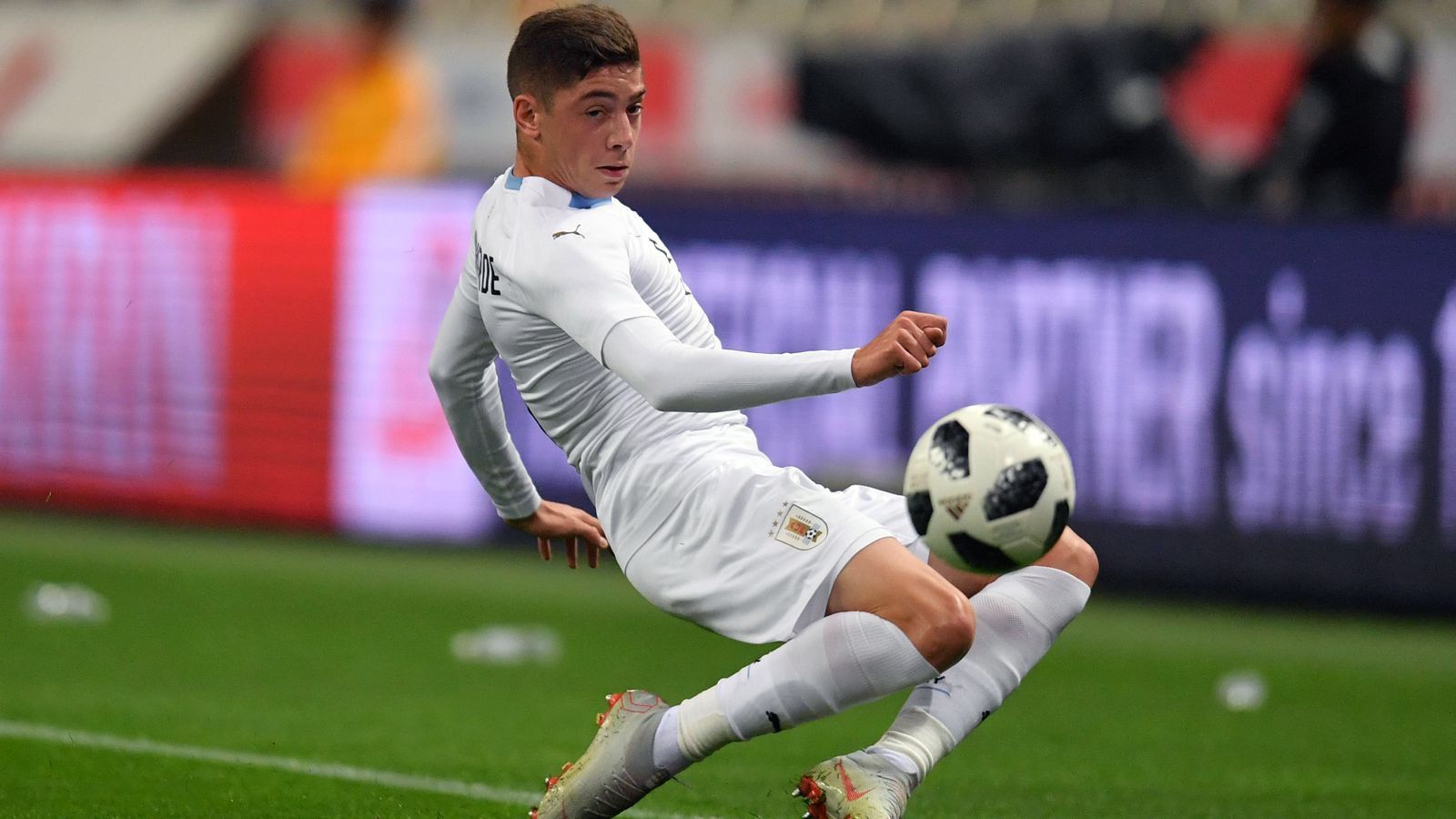 
                <strong>Federico Valverde (Uruguay)</strong><br>
                Uruguay hat nur gut 3,5 Millionen Einwohner, aber ist dennoch eine schier unerschöpfliche Quelle an begabten Fußballern. Im Schatten der Offensivstars Edinson Cavani (Paris St. Germain) und Luis Suarez (FC Barcelona) tummeln sich in der Nationalmannschaft vor allem im Mittelfeld junge Talente, wie Real Madrids Federico Valverde. Der 20-Jährige kam schon im Sommer 2016 von Penarol Montevideo in Spaniens Hauptstadt und wurde bei Real langsam (und über eine Leihe nach La Coruna) aufgebaut. In der zurückliegenden, schwierigen Saison für die Madrilenen, kam Jungstar Valverde immerhin zu 25 Einsätzen, behauptete sich gegen die ganzen großen Namen im Real-Mittelfeld. Bei der Copa-America-Generalprobe, dem 3:0-Sieg über Panama, erzielte Valverde sein zweites Länderspiel-Tor im zehnten Einsatz.
              