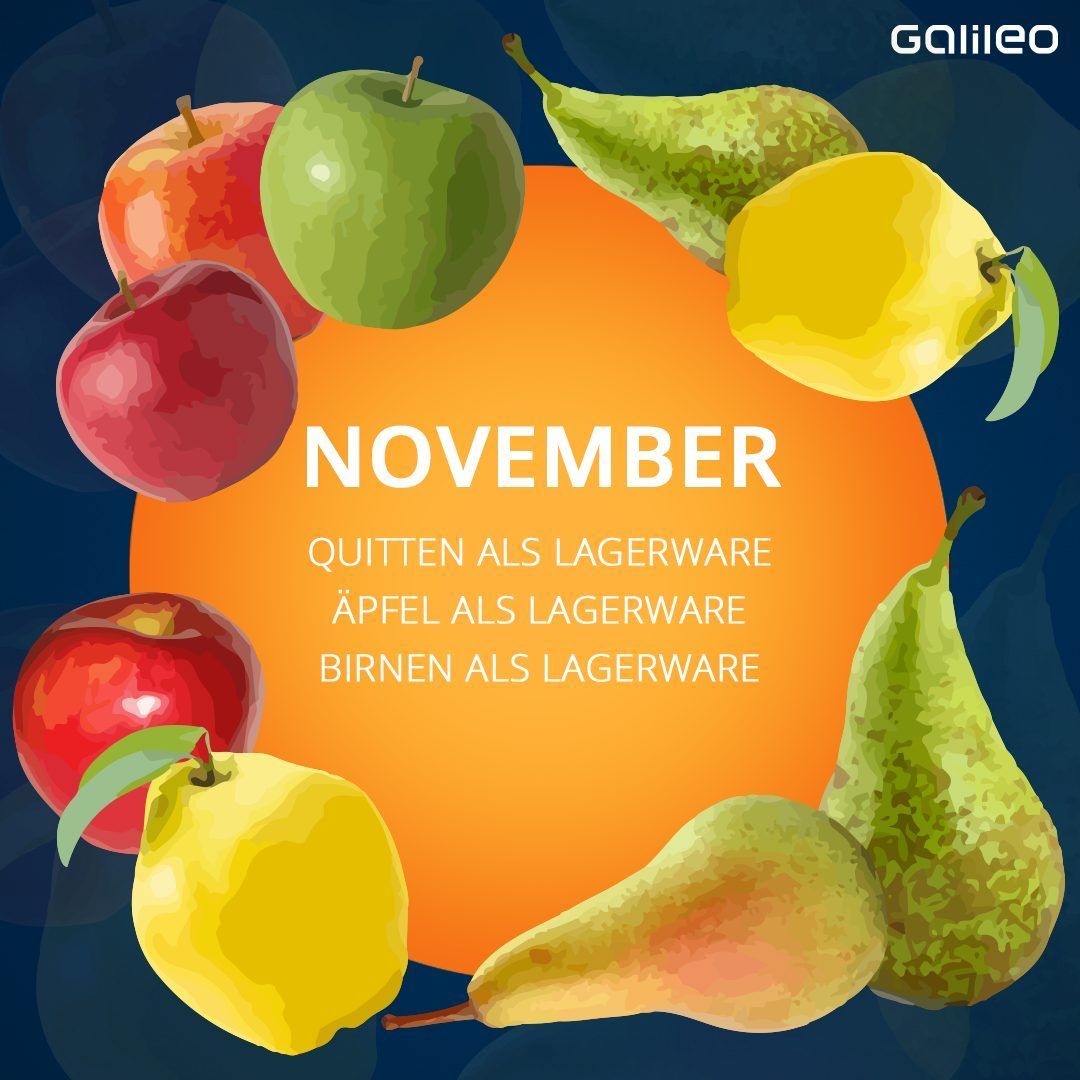 Saisonkalender Obst