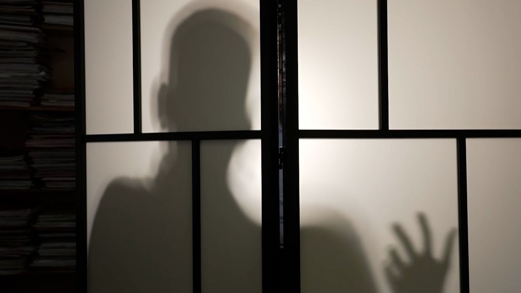 "Ich war verloren": Im Interview mit Puls 4 berichtet der Angeklagte von psychischen Problemen.