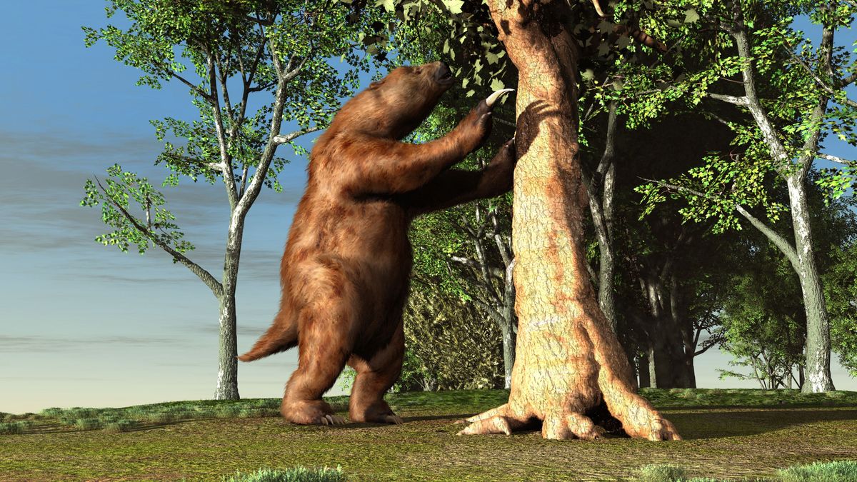 Ausgestorbenes Riesen-Faultier Megatherium