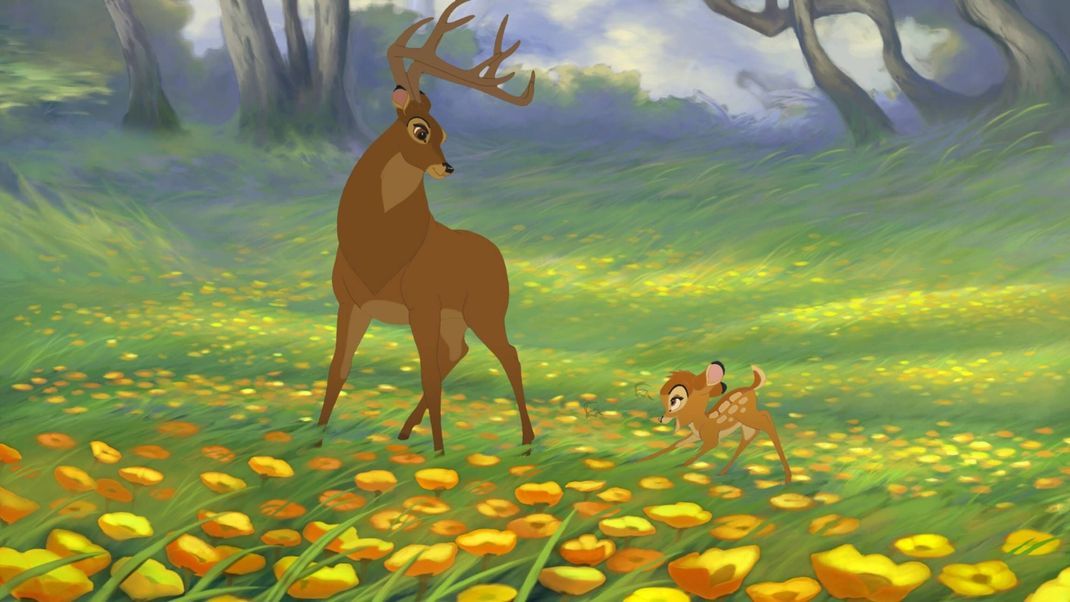 In the Disney film, Bambi is incorrectly referred to as a fawn.  It is clearly visible: his father is a deer.