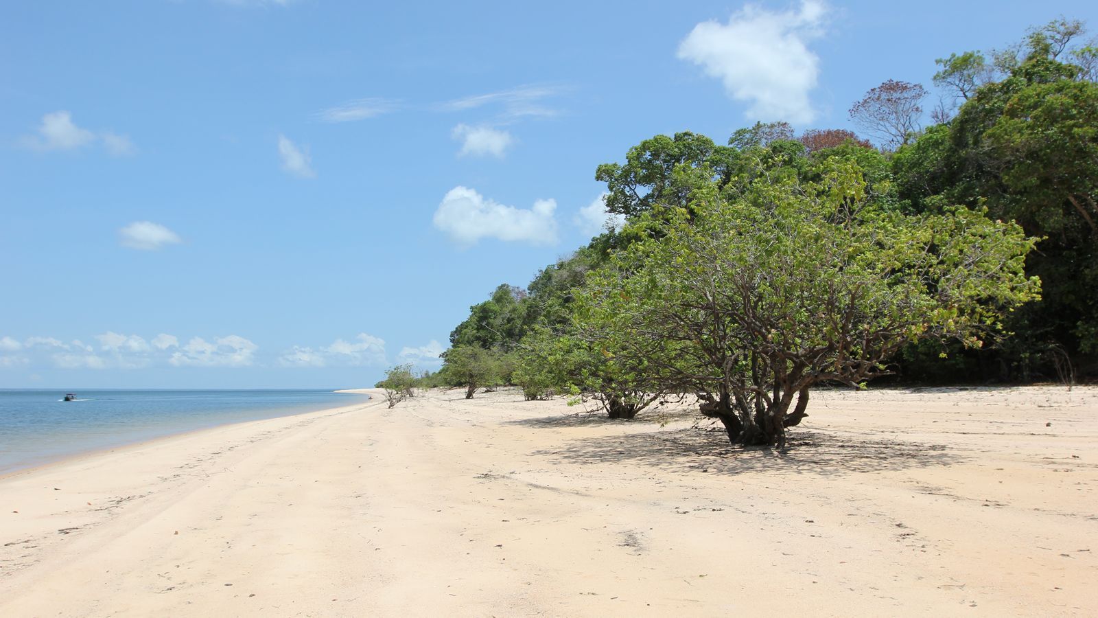 
                <strong>Umwelt</strong><br>
                Auch 2022 stehen fünf Rennen im Kalender: in einer Wüste (Neom, Saudi-Arabien), auf einer Insel (Sardinien), an der Ozeanküste (Senegal odr Schottland), an einem Salzsee (Antofagasta, Chile) sowie an einem Strand (Punta del Este, Uruguay). An allen Orten soll auf die Umweltzerstörung und ihre katastrophalen Folgen aufmerksam gemacht werden.
              