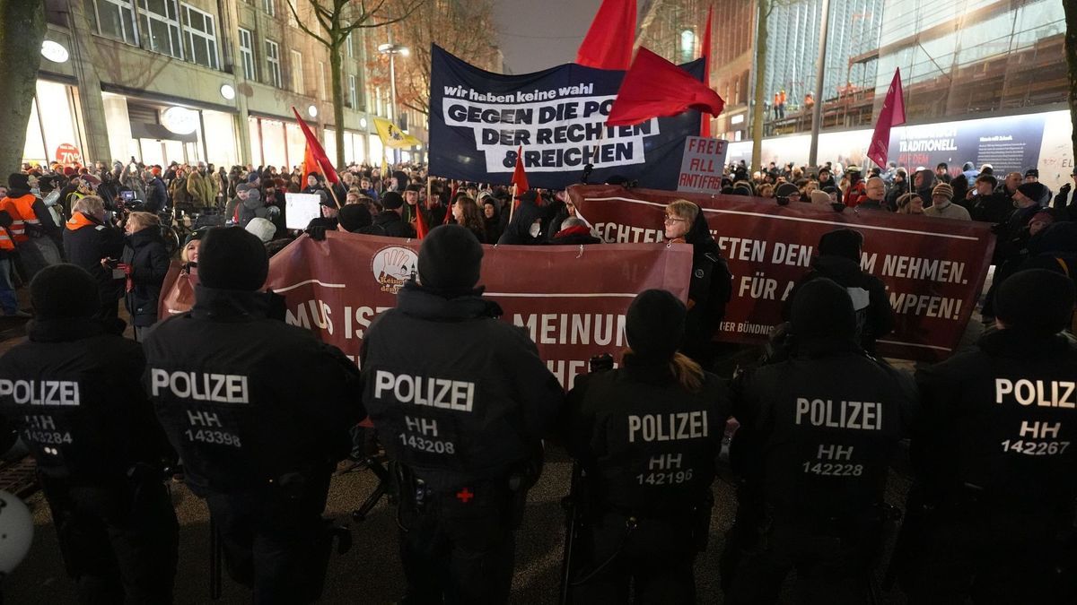 Wahlkampf AfD - Hamburg