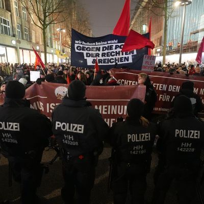 Wahlkampf AfD - Hamburg