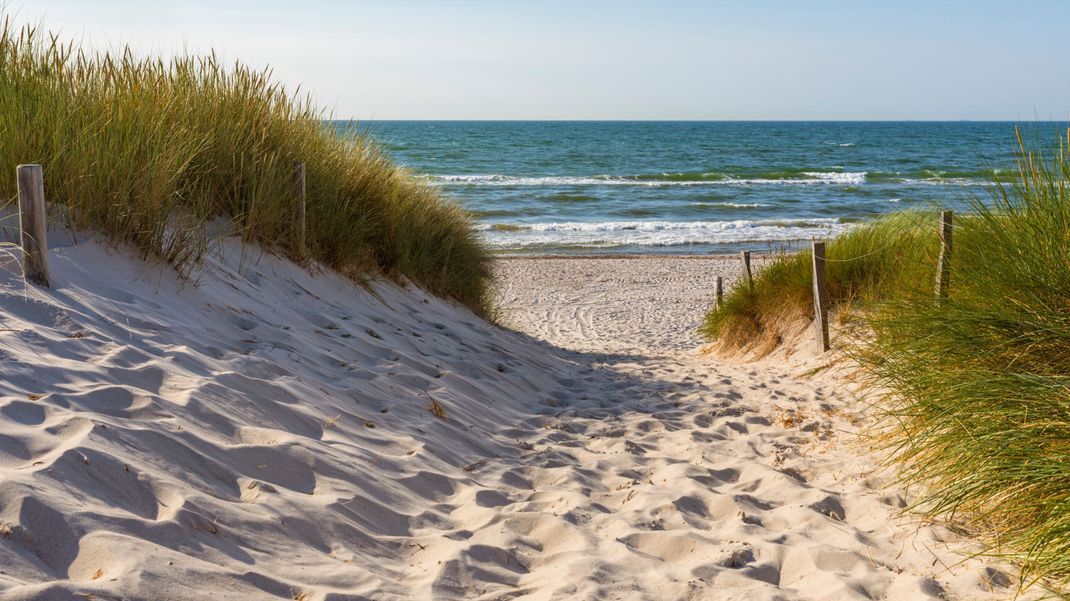 Die Gefahr kann im Wasser lauern: In der Ostsee wurden auch in diesem Sommer bereits Vibrionen nachgewiesen.