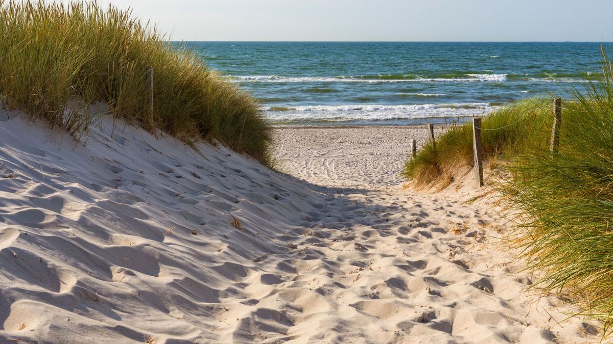 Vibrionen lauern in der Ostsee