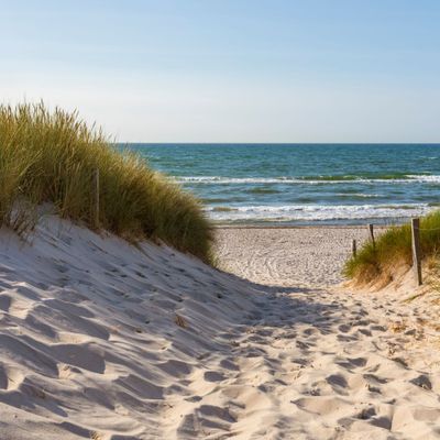 Vibrionen lauern in der Ostsee