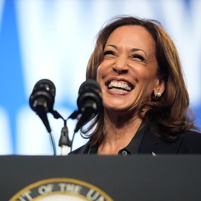 Wahlkampf in den USA - Kamala Harris