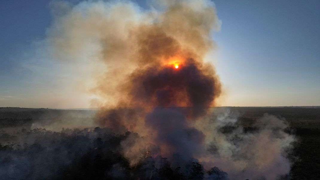 Im brasilianischen Amazonasgebiet toben heftige Feuer.