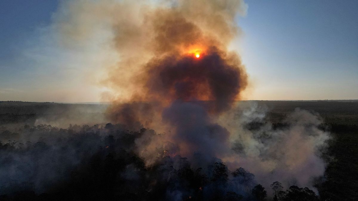 Waldbrände in Brasilien