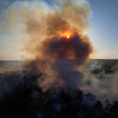 Waldbrände in Brasilien