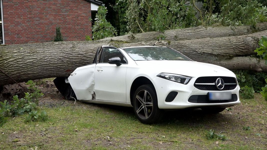 Im niedersächsischen Oldenburg stürzte ein entwurzelter Baum auf ein parkendes Auto.