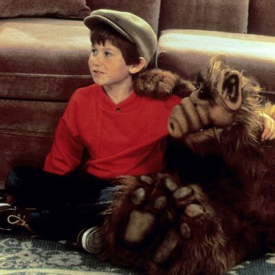 In der US-Sitcom „Alf“ spielte Benji Gregory einst die Rolle des Tanner-Sohnes Brian.