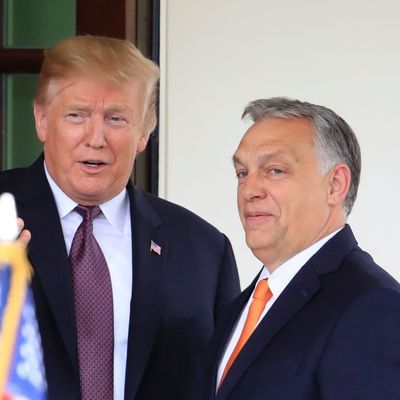 Donald Trump (l) und Viktor Orban