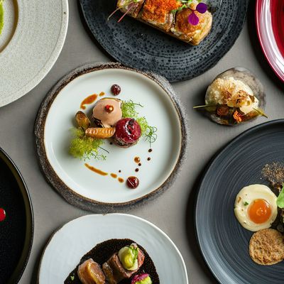 Tasty dishes in michelin star restaurant