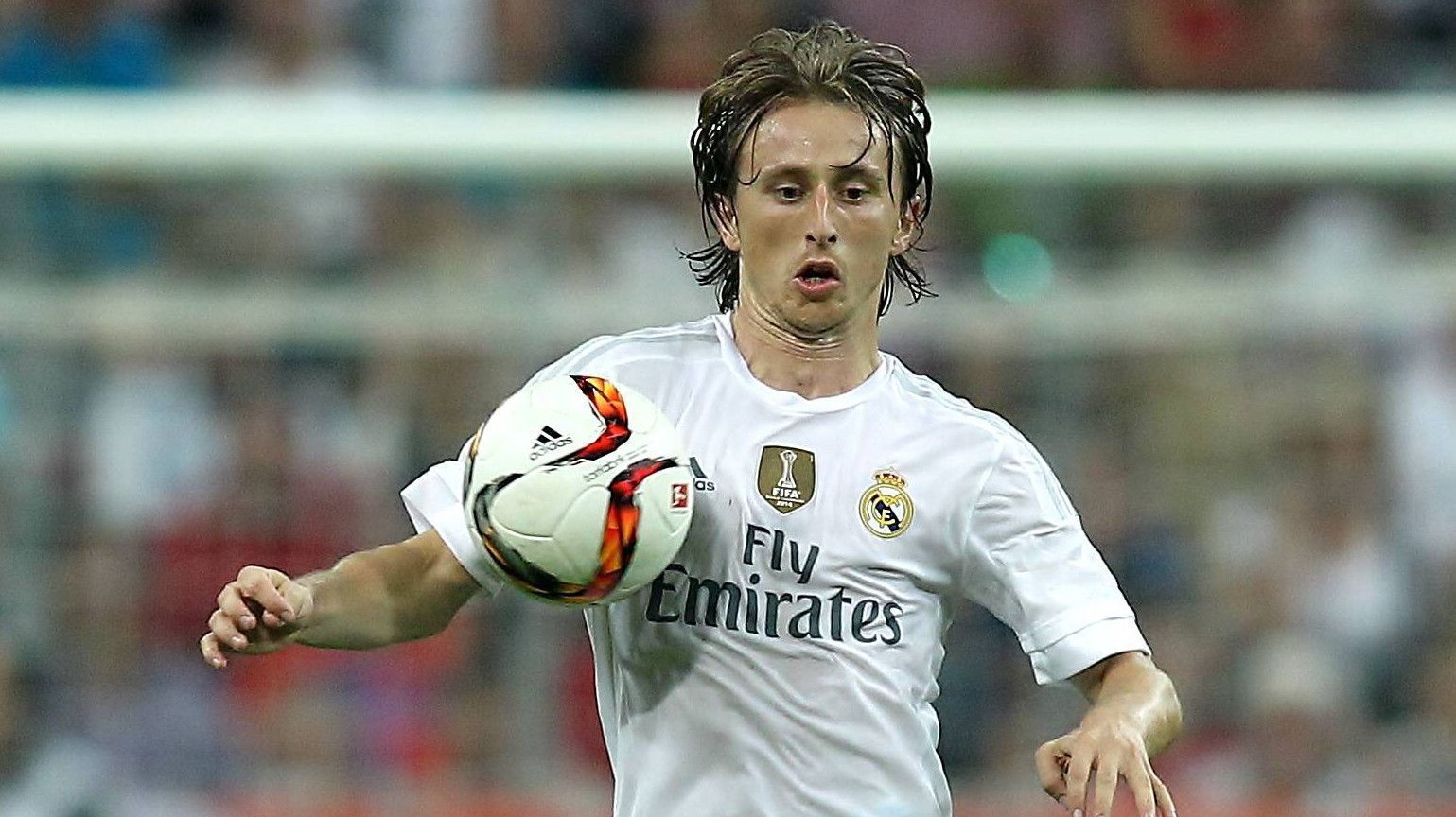 
                <strong>Halblinker defensiver Mittelfeldspieler: Luka Modric</strong><br>
                Wie schon 2014/2015 wollen die Supporter auch in den nächsten Wochen und Monaten Luka Modric an der Seite von Kroos sehen. Für den kleinen Kroaten ist der Part halblinks vorgesehen.
              