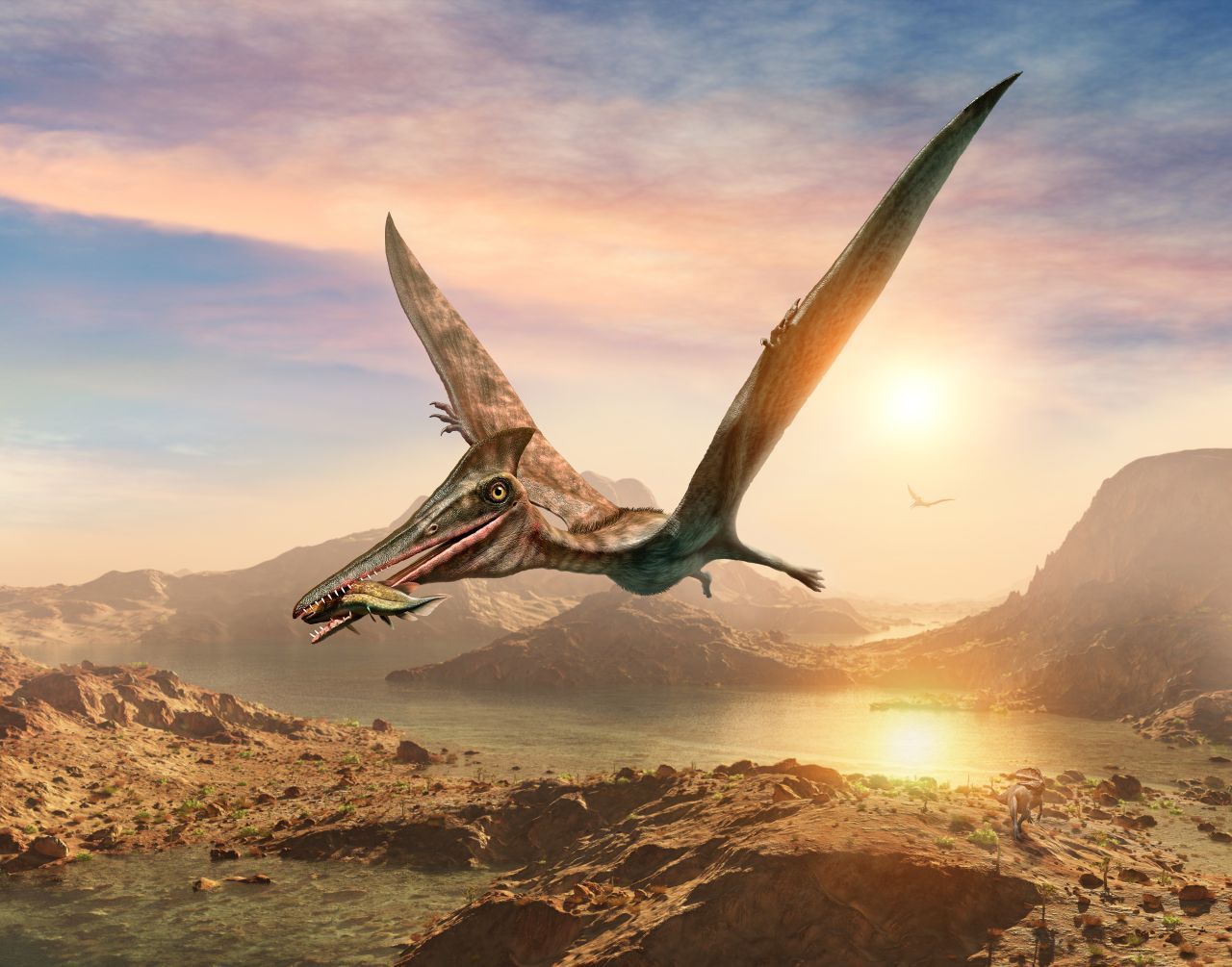 Der Pterosaurus war ein Flugsaurier, der eine Flügel-Spannweite von bis zu zwölf Metern besaß. Er war ein wendiger Jäger der Lüfte und machte Jagd auf Fische. Manche Arten hatten es auch auf Landtiere abgesehen.