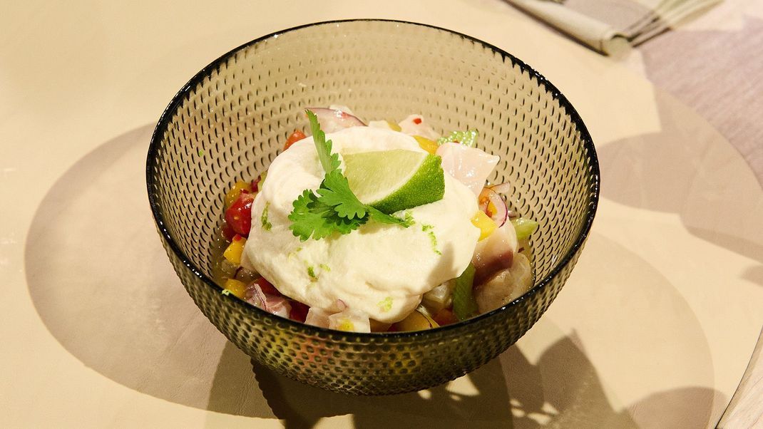 Ceviche vom Wolfsbarsch mit Staudensellerie, Paprika, Mango, Yuzu-Tigermilch und Kokosschaum.