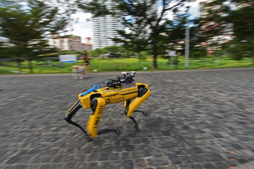 Roboter-Hund Spot auf Patrouille.